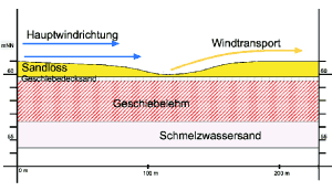 Abbildung 1: Profilschnitt "echtes Schlatt" = Ausblasungswanne = Deflationswanne (idealisiert) (G. Becker)