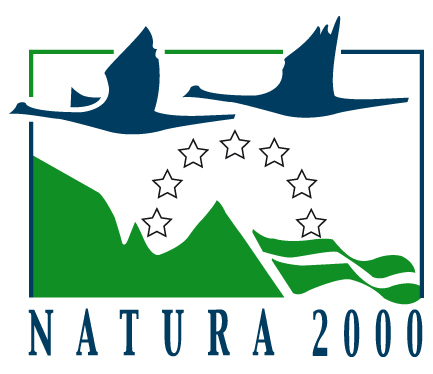 Dümmer | FFH Nr. 065 – Natura 2000